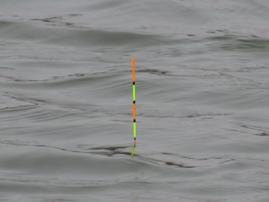 走水无敌小软尾浮漂野钓实战,野钓水深3米走水用吃铅几克浮漂