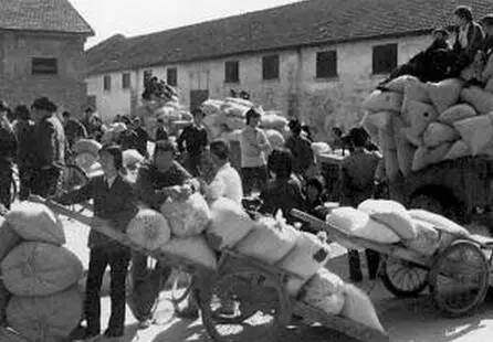 六七十年农民交公粮照片,老百姓上缴公粮场面