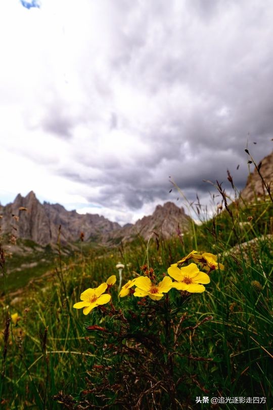 西安甘南七日自驾游最全攻略,甘南莲宝叶则风景区海拔