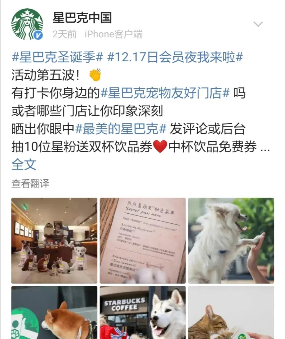 星巴克新年营销活动,星巴克圣诞节营销