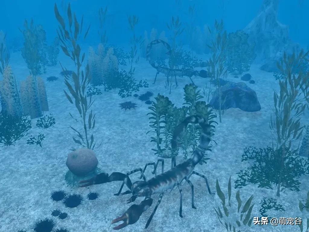 巨型蜈蚣长三米,世界上最长的3米巨型蜈蚣