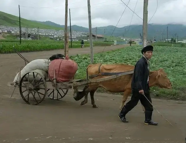 63张照片看朝鲜,朝鲜免费住宅图片