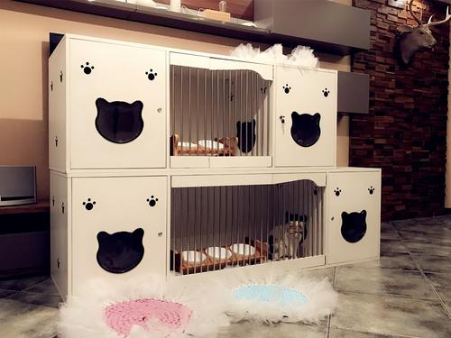 猫最好用什么猫窝,各种猫窝的视频大全