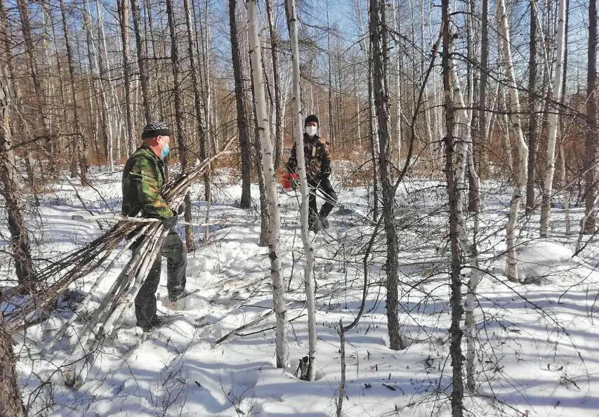 行走在冷冽的寒风中完整版,行走在冷冽的寒风中