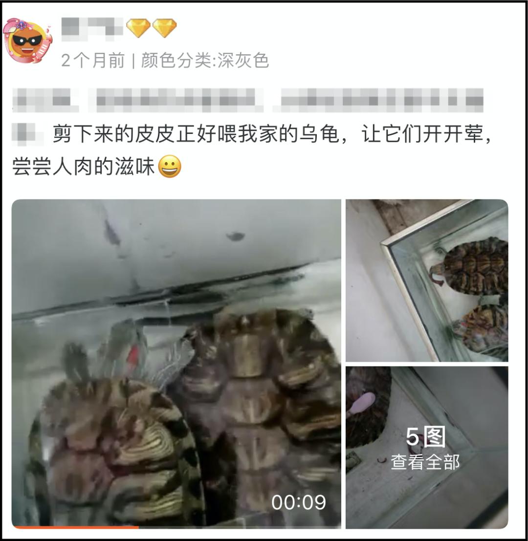 那些选择自己割包皮的男人：DIY套餐55元包邮。