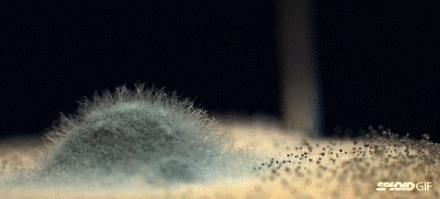 厨房水槽玻璃胶发霉怎样清洁,厨房水槽台下盆玻璃胶发霉