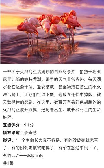 动物世界大自然野生动物纪录片,值得学生看的大自然经典纪录片