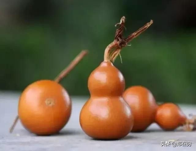 文玩刷子价格一览表,鸡蹬子文玩把件价格