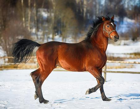 赵友辉散文：寻找一片栖息地
