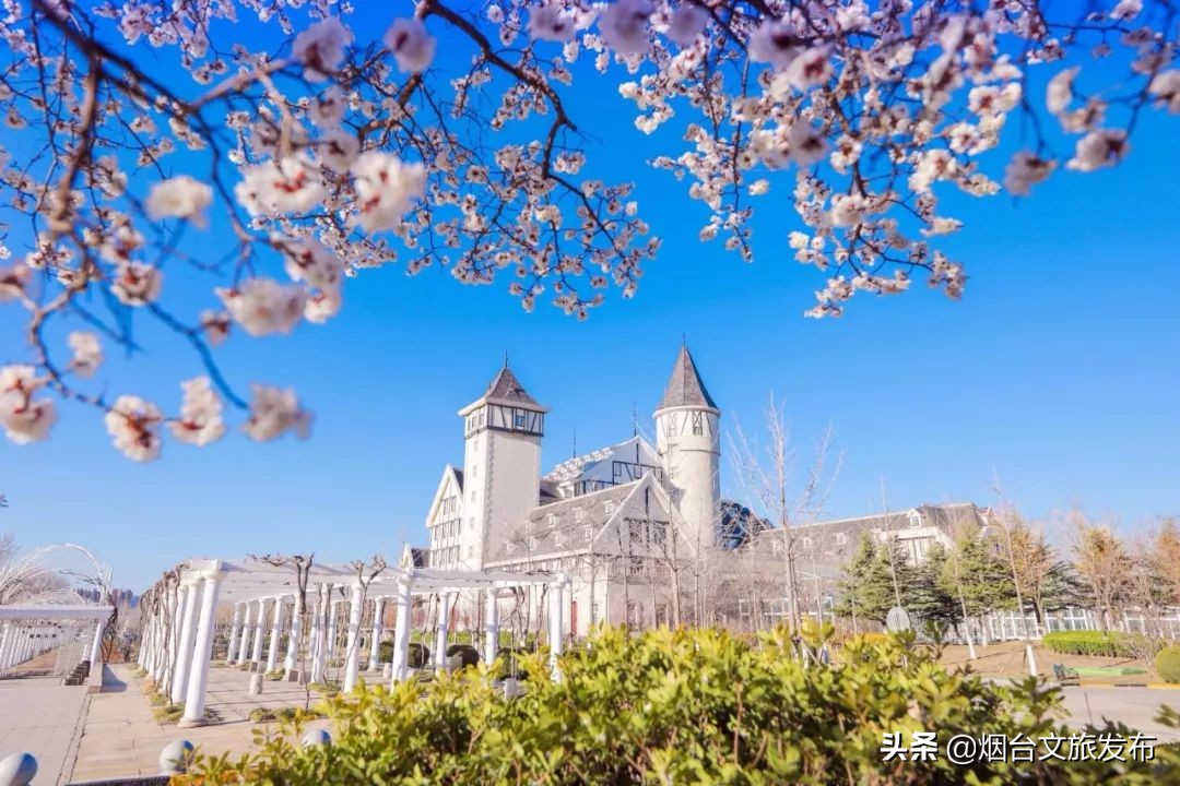 张裕卡斯特酒庄研学,探秘研学活动