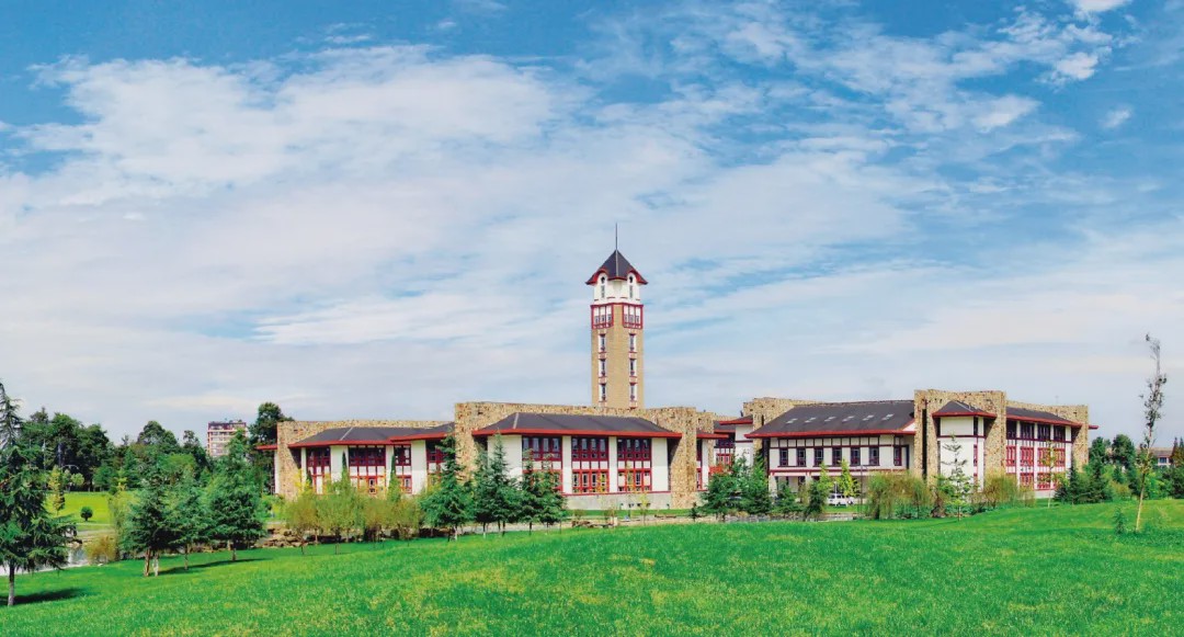 成都东软学院专业及就业率,成都东软学院2017年就业