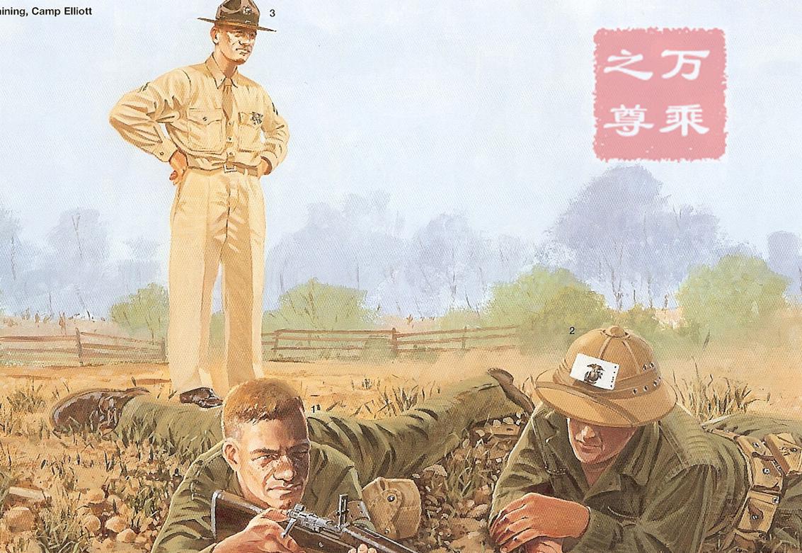 美军在越南伤亡最惨重的一次战役,美军在越南战争中阵亡多少人