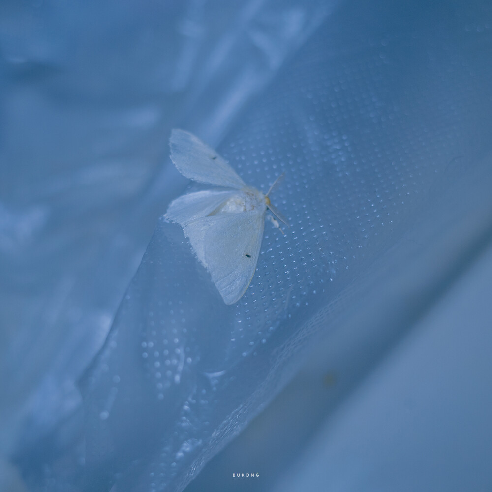 适合抖音文案的句子,适合寒假发到朋友圈的文案句子