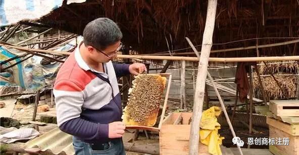 国际商标争夺案“冰川依云”｜四川“蜂蜜哥”VS法国依云公司