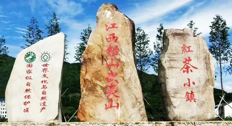 江西武陵红茶,江西最好的红茶