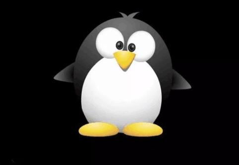 当前自媒体有哪些,目前最好的自媒体有哪些