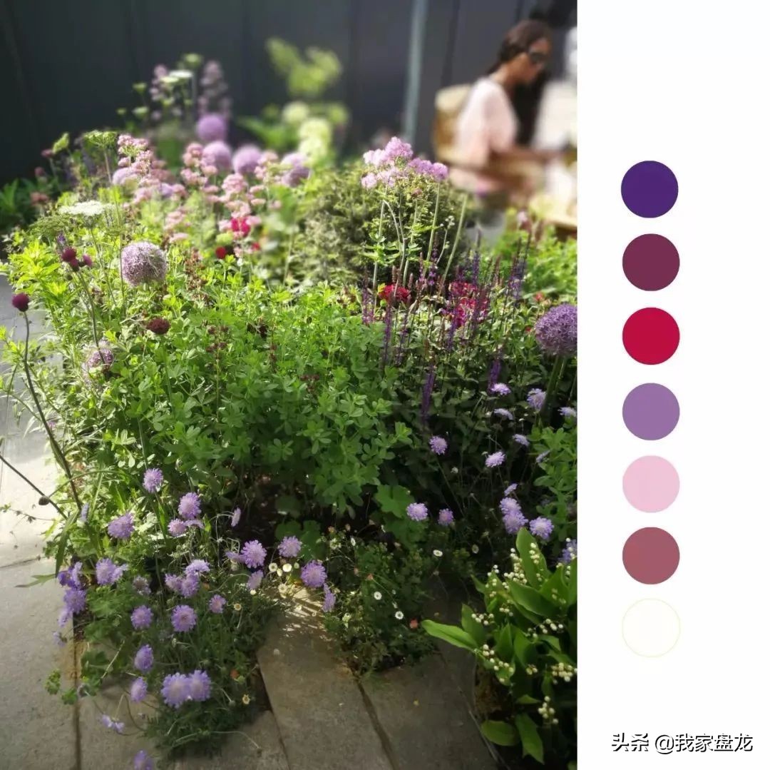 这种乱七八糟滴栽花方式,到底是不是园丁出了问题?