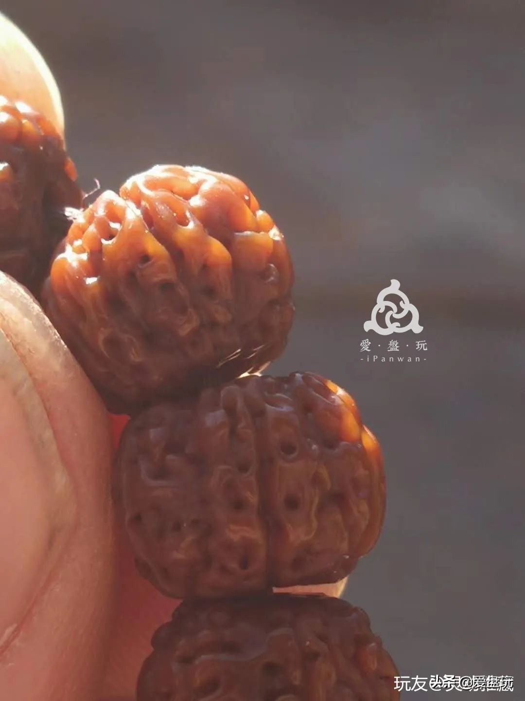 小金刚树王六瓣包浆,树王小金刚单圈包浆图