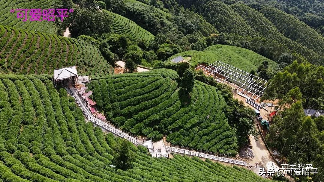 贺州市昭平县桂江游船,广西昭平桂江游船