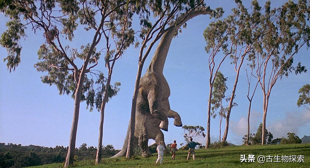 超级巨龙和金牌巨龙,超级巨龙进化