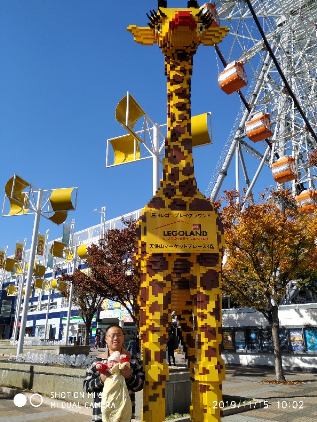 3月底日本关西8日游攻略,日本关西旅游攻略七日游