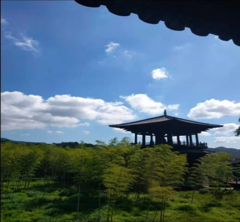 星空露营附近,星空露营地烧烤