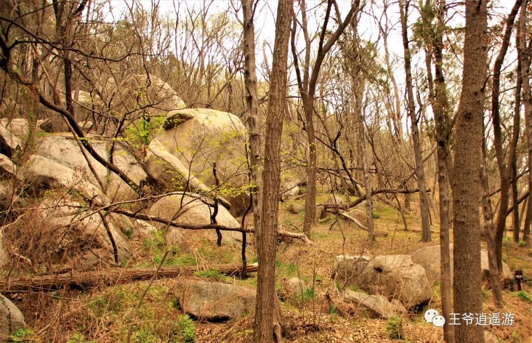 邹城峄山石头怎么形成的,峄山的石头是怎么形成