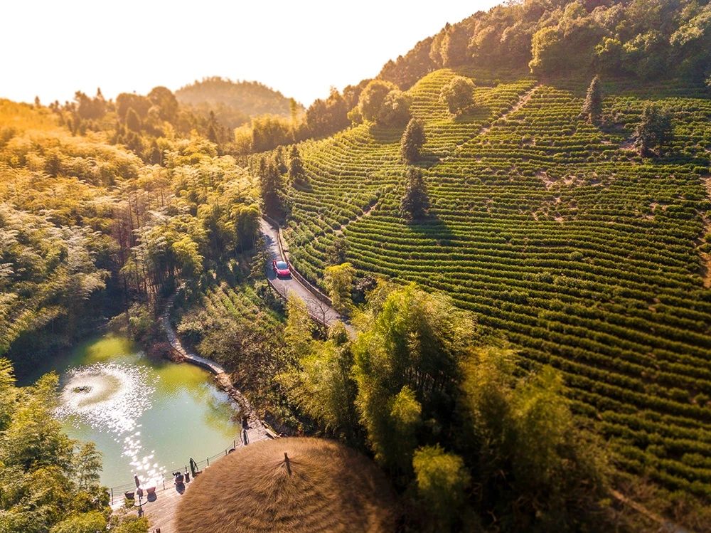 裸心堡折扣,裸心堡观景攻略