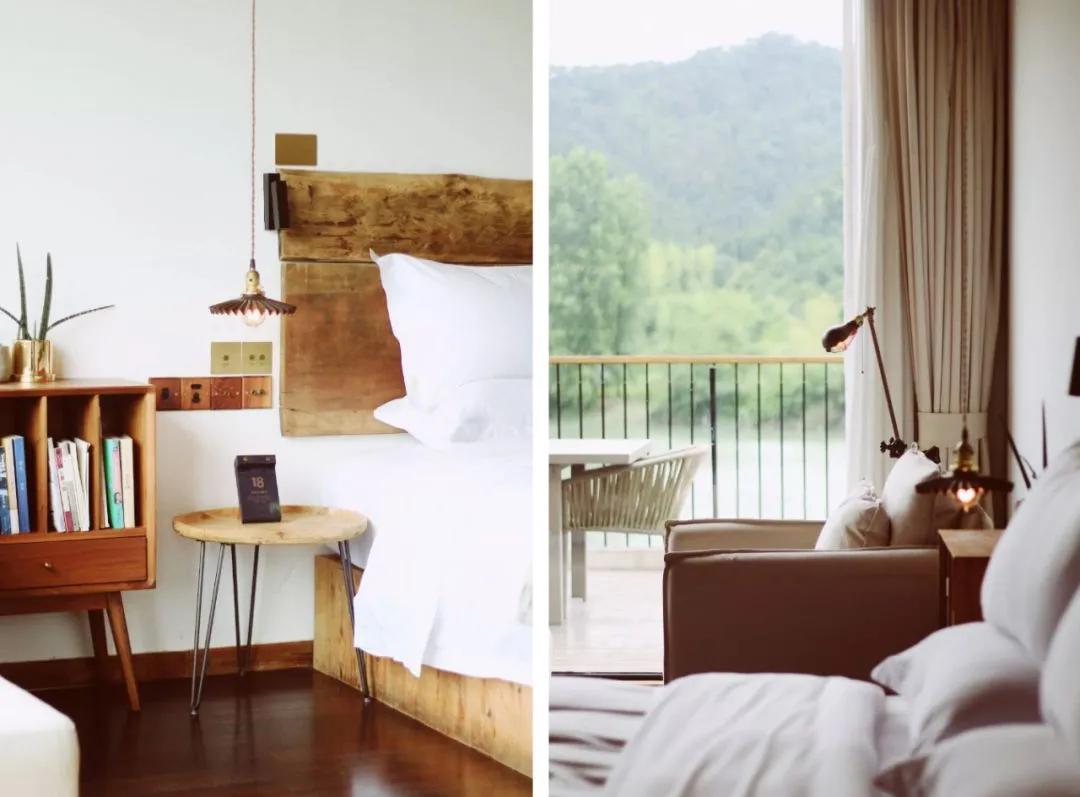 丽水上热搜,浙江丽水现萤火虫星海