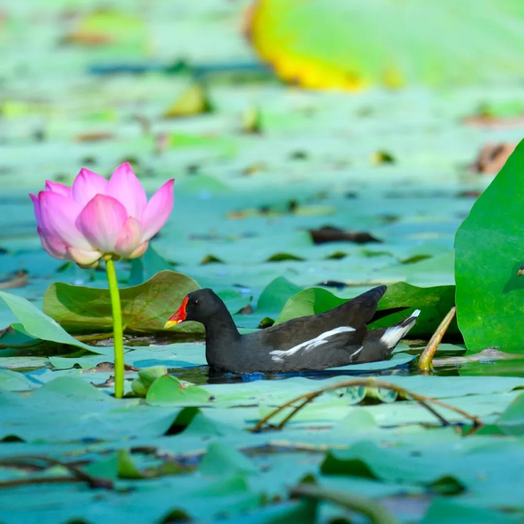 合肥融创茂宝藏秘境,合肥宝藏地