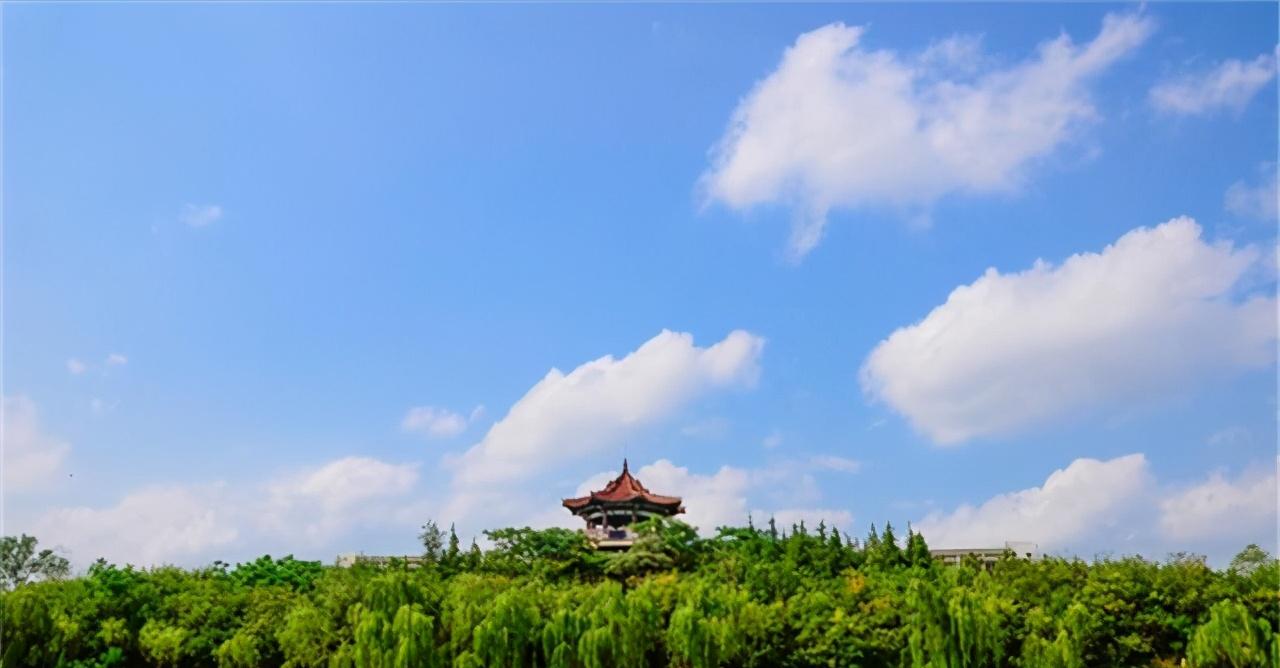 聊城大学与临沂大学哪个比较好,聊城大学与临沂大学谁好