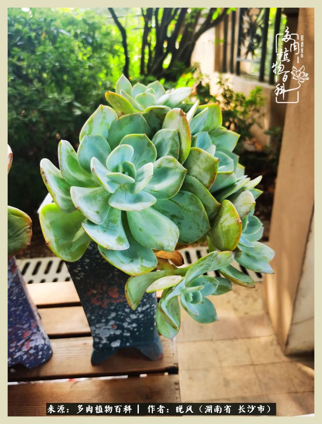 摇身一变成了奶爸,摇身一变成为打工人