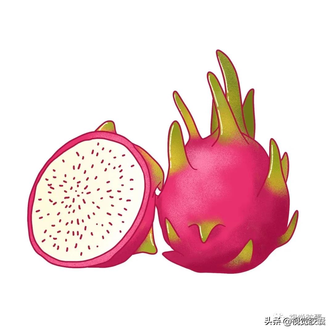 乡村蔬菜大棚的设计,蔬菜精美设计图片