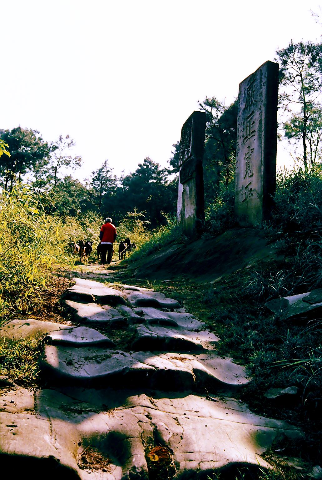 九龙坡走马古镇农家乐,九龙坡走马古镇的民宿