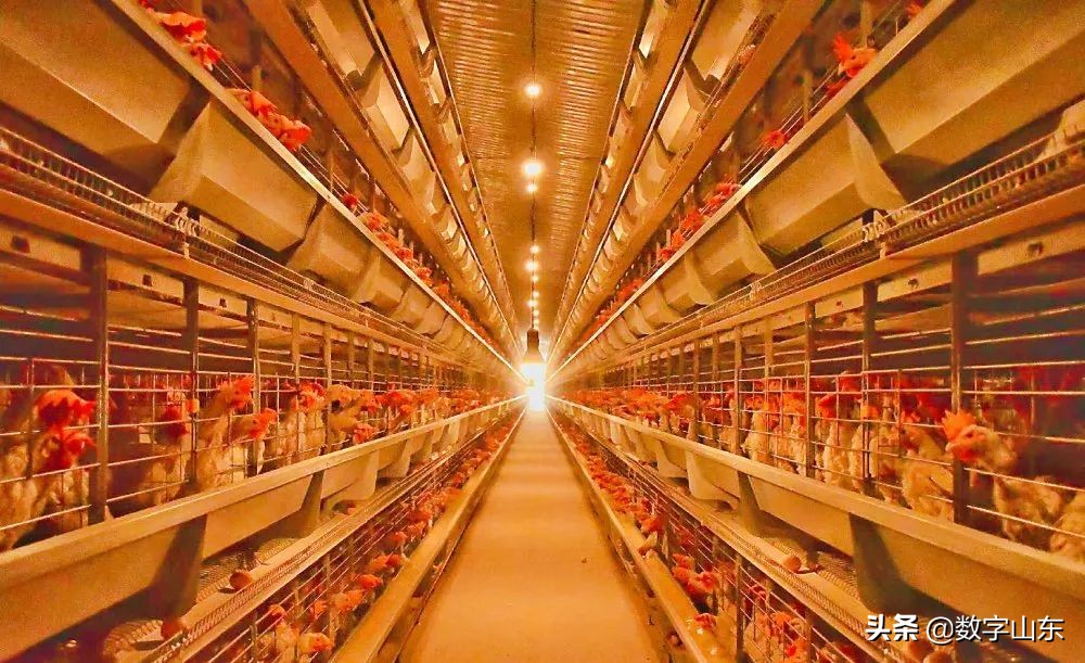 姜山镇青岛,莱西市姜山镇最新规划