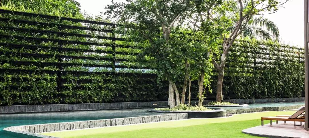 农村小院围墙设计花式围墙,围墙的设计效果图大全集