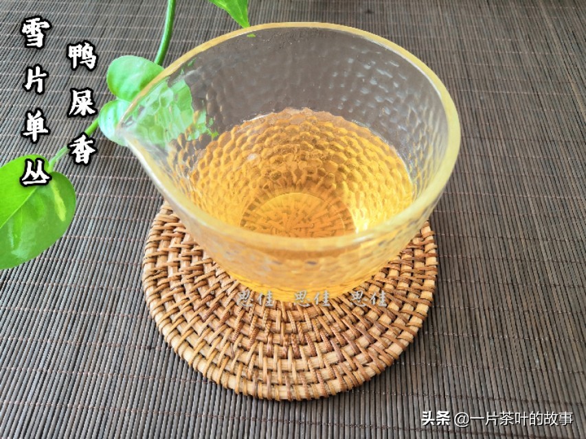 凤凰单丛鸭屎香柠檬茶冲泡方法,凤凰单丛鸭屎香茶最佳冲泡方法