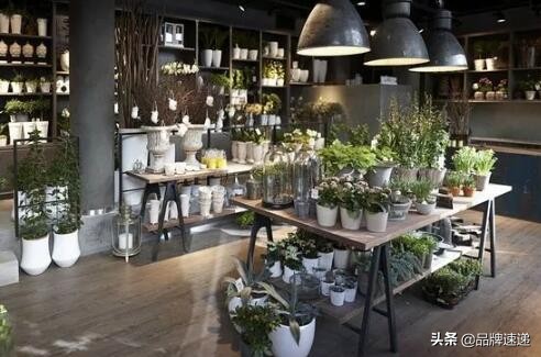 花店优雅空间设计,如何设计一个具有创意的花店