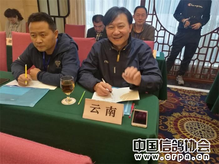 中国信鸽协会各地鸽会,惠州市信鸽协会电话