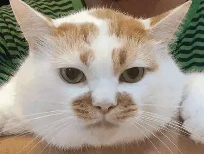 宝宝老揪眼睛怎么回事,宝宝总是摇头抓耳朵怎么回事