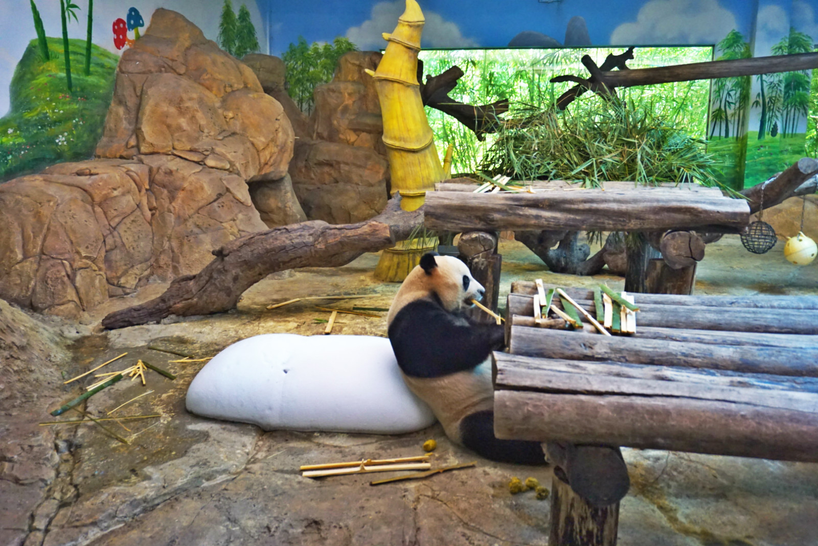 常州恐龙园和珠海长隆哪个好玩,珠海长隆海洋王国好玩吗