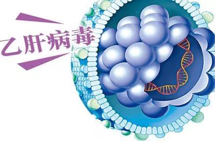 乙肝携带者喂孩子吃饭会传染吗,谣言和乙肝朋友吃饭被传染