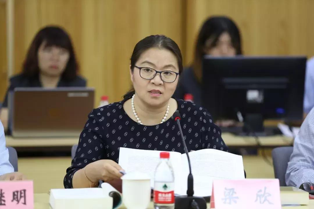 类案裁判,刑事类裁判指引