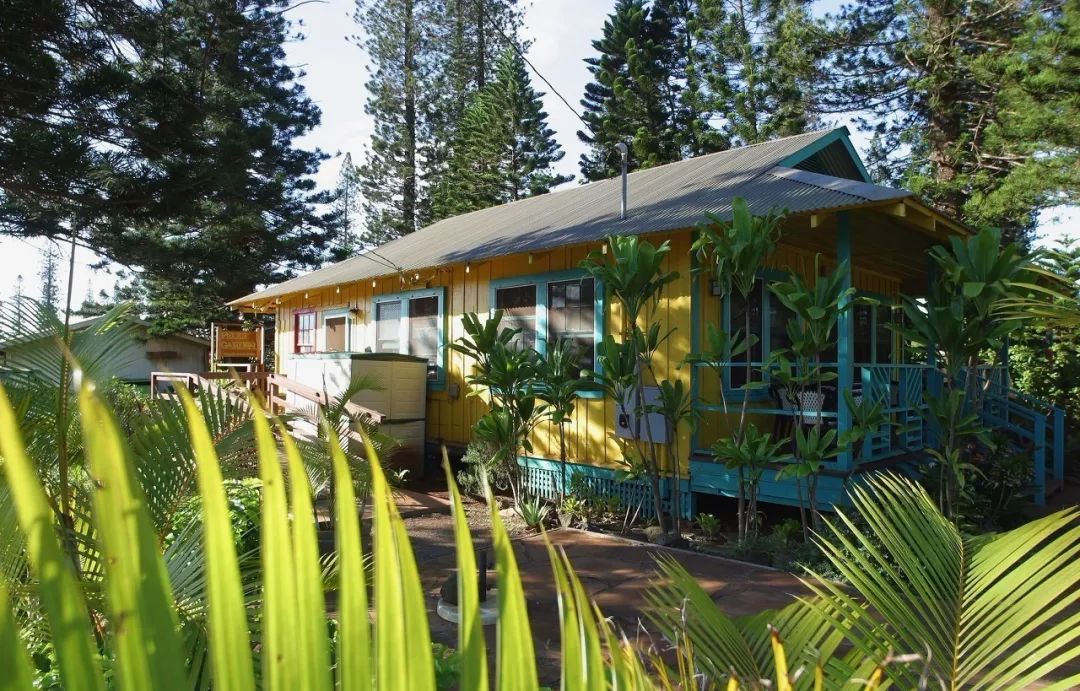 为什么一定要去夏威夷,为什么大家都去夏威夷