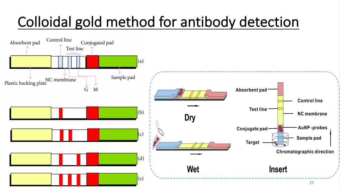 金冬雁教授对此次新冠的讲解,金冬雁新冠