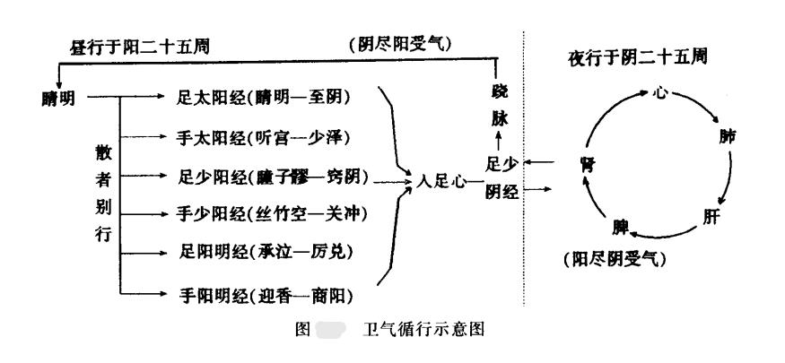 子午流注和经络的关系,子午流注讲解