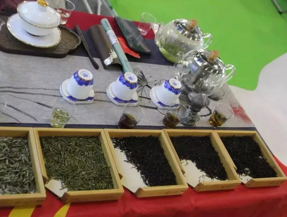 第三届国际茶博会开展!最全逛展攻略来了,附免费领门票通道