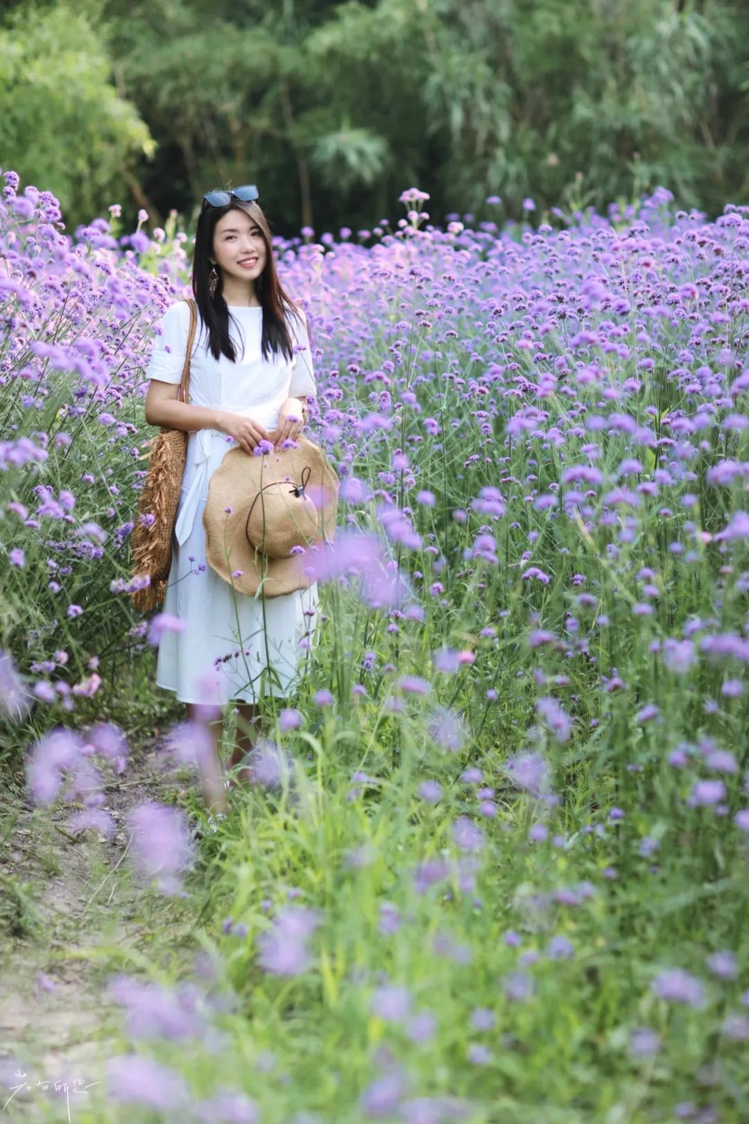 娌欏娴滅殑绱壊鑺辨捣,娌欏娴滈鏅尯鑺辨捣