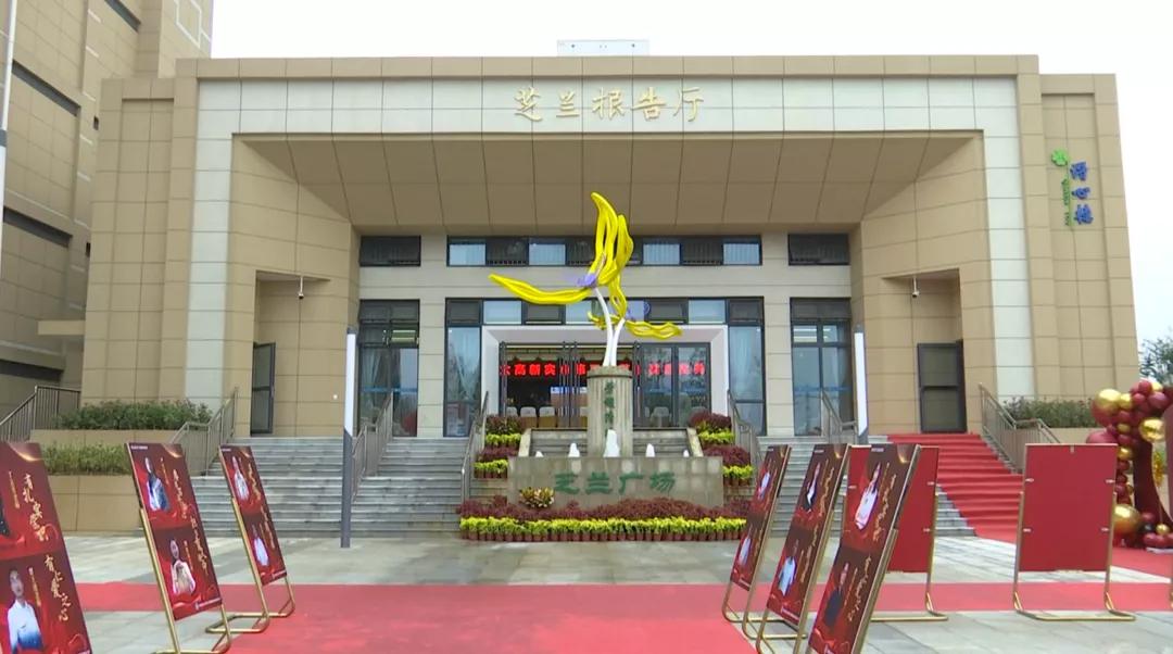 南信大附属实验小学学区房,南信大高新实小和南信大高新附小