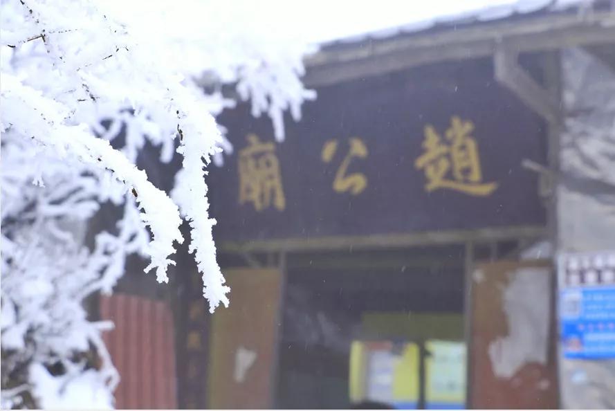 无雪不成冬,都江堰玩雪一日游